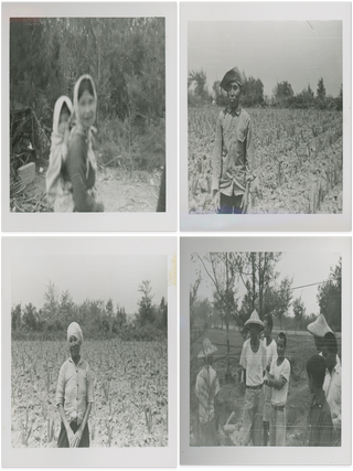 Photo Album of a US Marine in Okinawa, Taiwan, and Korea, c. 1950s–1960s, with a Series Likely Documenting the Land and Crop Projects of the Sino-American Joint Commission on Rural Reconstruction in Taiwan.