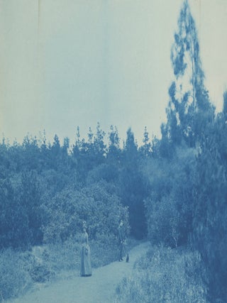 A Pair of Photograph Albums Documenting San Francisco, Monterey, and the Surrounding Areas in the Late 1880s.