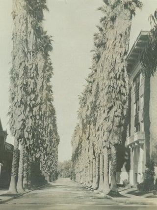 Item #List1319 A Charming Album of Photographs Taken in Southern California in 1919 by a Michigan...