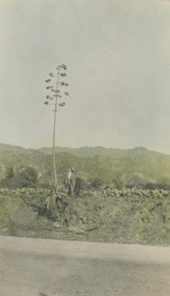A Charming Album of Photographs Taken in Southern California in 1919 by a Michigan Photographer Touring with his Family in a Model T Ford.