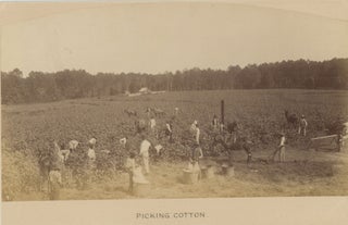 Four Views of New Orleans and the Surrounding Countryside, Including African-American Subjects.