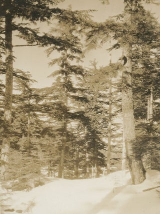 Photograph Album Documenting the Sarin Family of Riga, Latvia and Cordova, Alaska, c. 1900-1930.