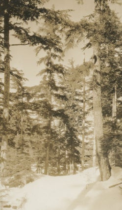 Photograph Album Documenting the Sarin Family of Riga, Latvia and Cordova, Alaska, c. 1900-1930.