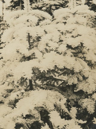 Photograph Album Documenting the Sarin Family of Riga, Latvia and Cordova, Alaska, c. 1900-1930.