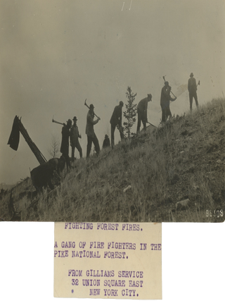 Item #List2869 Six Press Photographs of the US Forest Service’s Attempts to Fight Wildfires,...