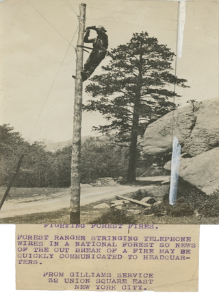Six Press Photographs of the US Forest Service’s Attempts to Fight Wildfires, Early 20th Century.