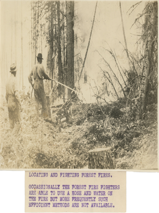 Six Press Photographs of the US Forest Service’s Attempts to Fight Wildfires, Early 20th Century.