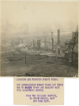Six Press Photographs of the US Forest Service’s Attempts to Fight Wildfires, Early 20th Century.
