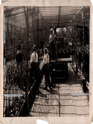 Ten Photographs of Japanese Immigrants and Laborers in California in the Early 1900s.