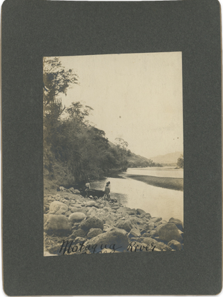 Forty-Eight Photographs from Botanist William Ashbrook Kellerman’s Expeditions to Guatemala.