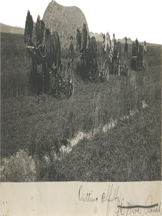 Item #List3112 Fourteen Photographs of US Alfalfa Farms.. Agriculture – Farming,...