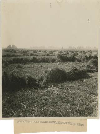 Fourteen Photographs of US Alfalfa Farms.