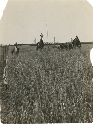 Fourteen Photographs of US Alfalfa Farms.